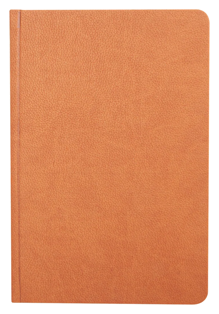Ulus Tarihli Ajanda (17x24 cm), taba